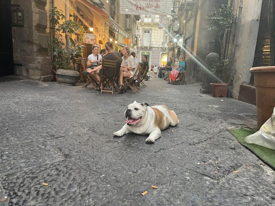 La Casa Di Sarah Aspetta Voi Apartment Naples Luaran gambar